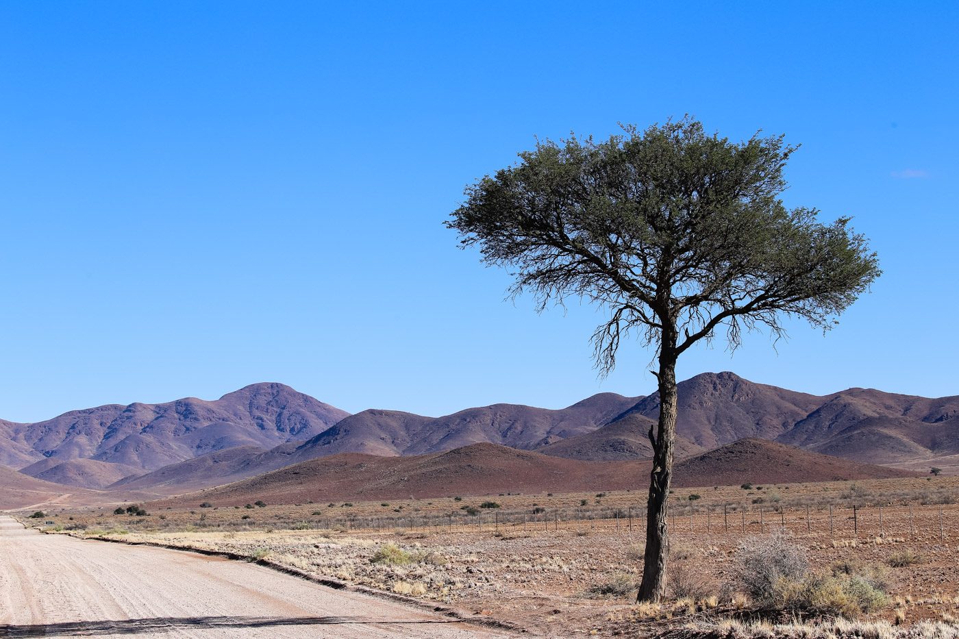 Photograph of NamibRand Nature Reserve, southern Namibia. No Eden site or partnership is confirmed here.