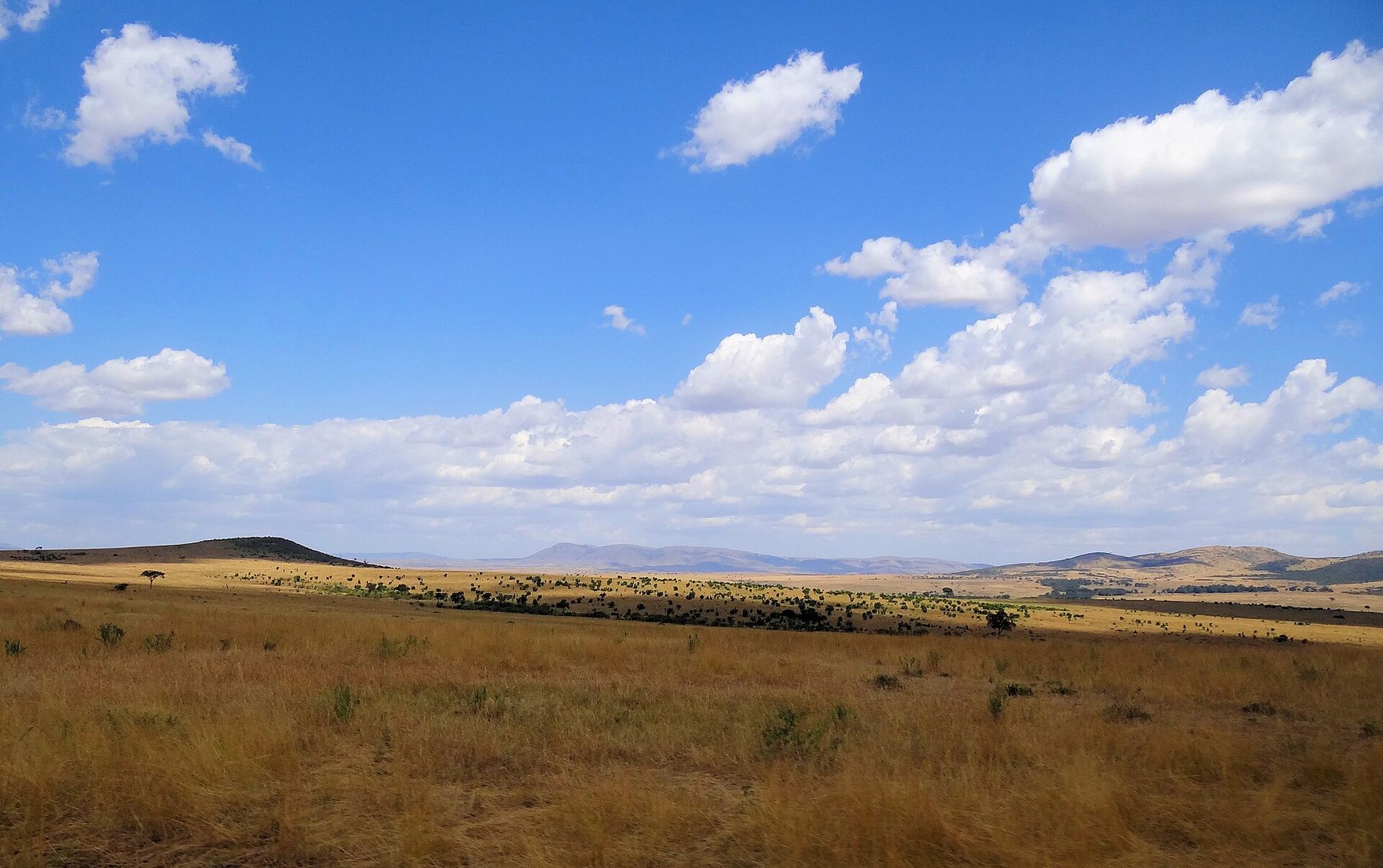 Photograph of the wider landscape: the Maasai Mara, Narok County, Kenya. Not the specific area under study. No Eden site or partnership is confirmed here.