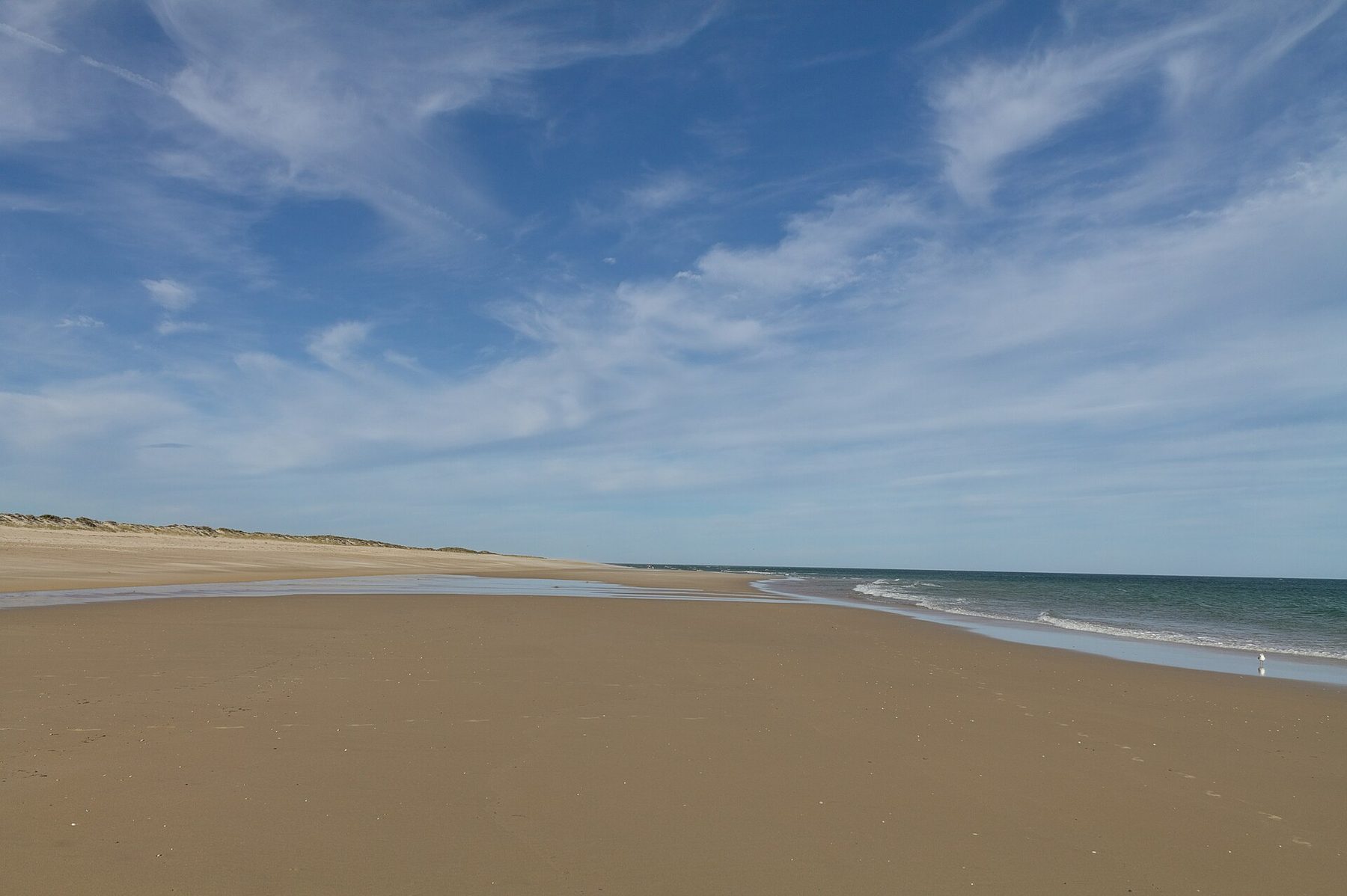 Photograph of Praia da Culatra on Ilha da Culatra, Ria Formosa, Algarve, Portugal. No Eden site or partnership is confirmed here.