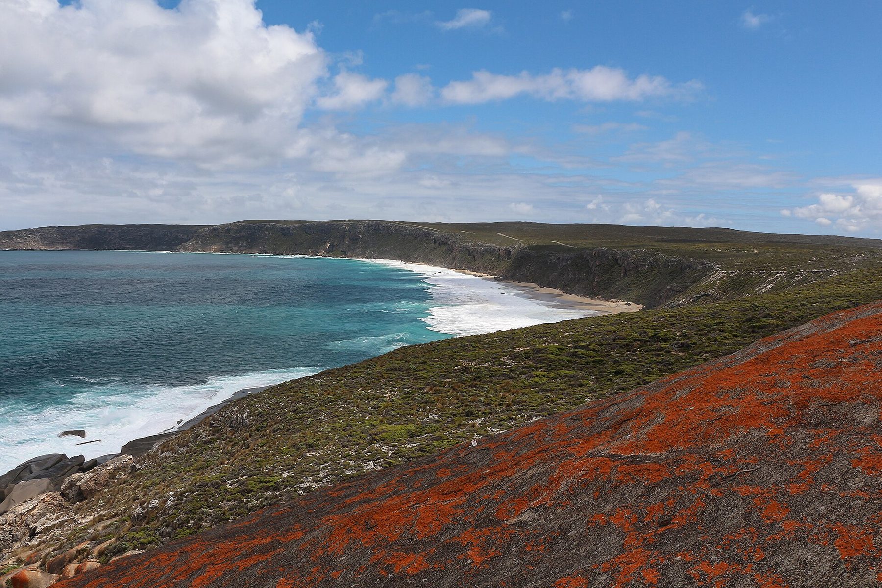 Photograph of the wider landscape: the west coast of Kangaroo Island at Flinders Chase, South Australia. Not the specific area under study. No Eden site or partnership is confirmed here.